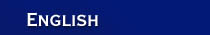 Covini Estate Agency (Flash required)